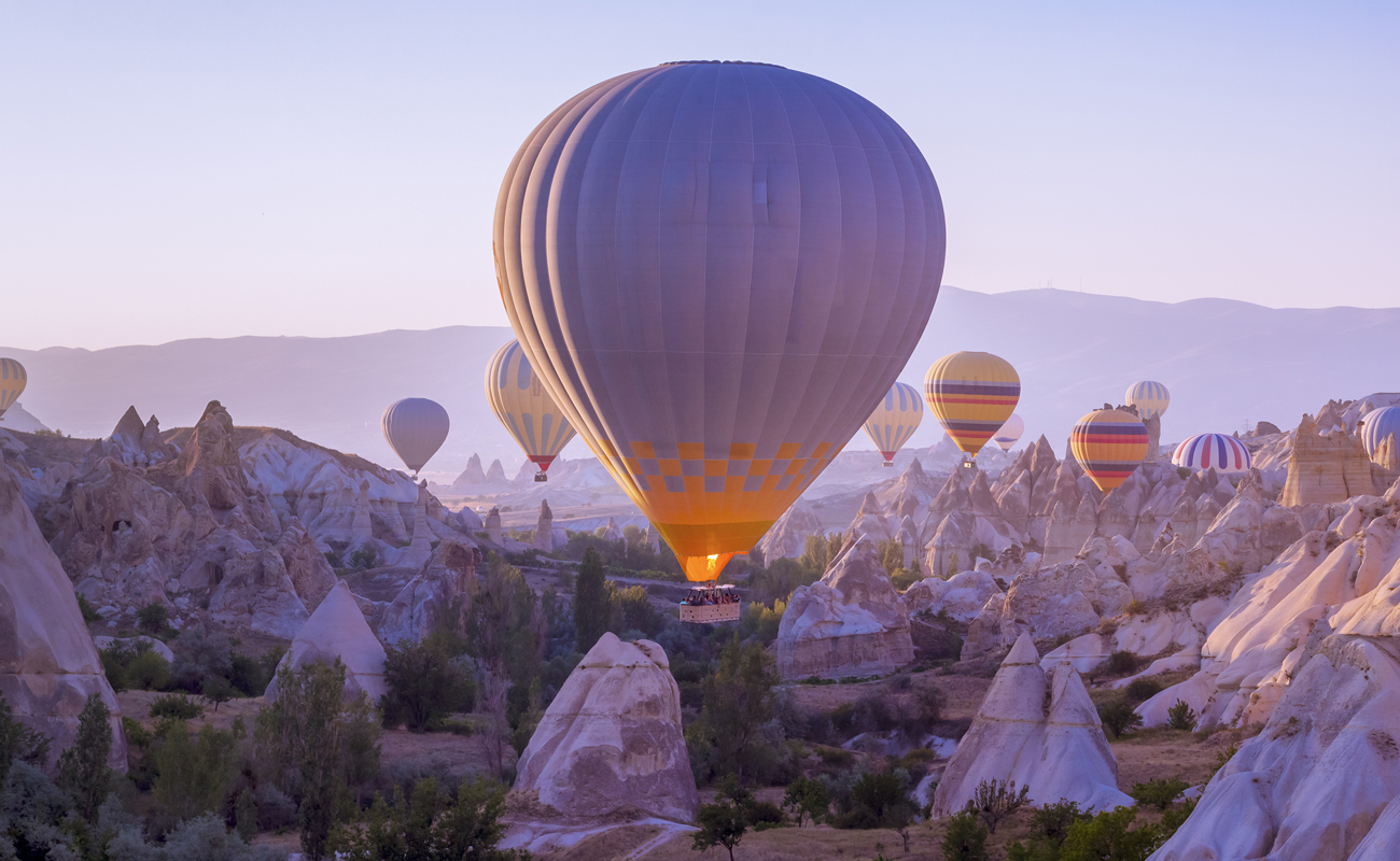 A picture showing a landscape and hot air balloons